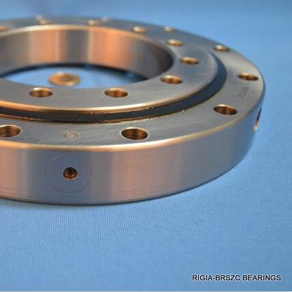 SD.616.20.00.B slewing ring bearings