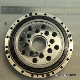 CSF65-XRB Harmonic Reducer Drive Bearing rigia