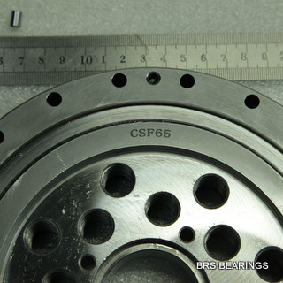 CSF65-XRB Harmonic Reducer Drive Bearing rigia