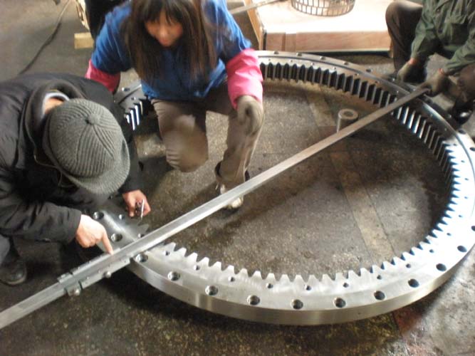Inspection and Test Record-Slewing Rings