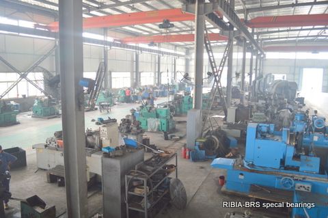 RIGIA large size bearings Workshop View