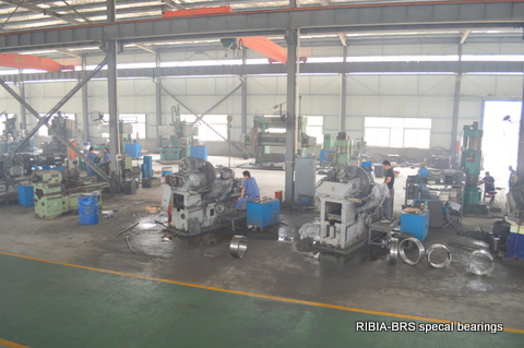 RIGIA large size bearings Workshop View