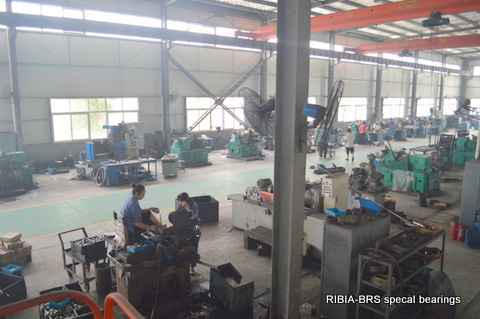 RIGIA large size bearings Workshop View