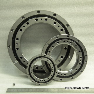 SHF|SHG drive unit bearing